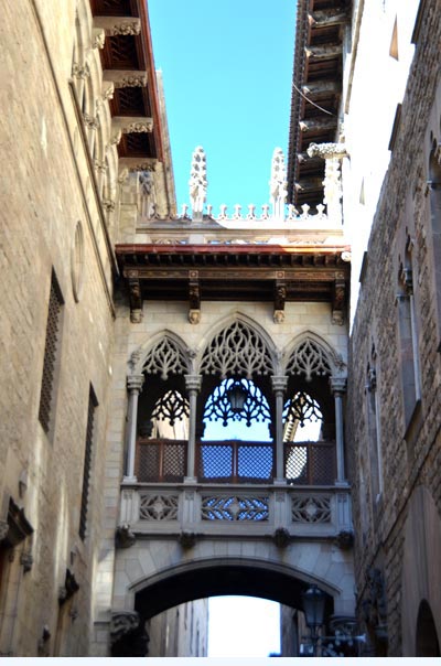 Guided Tour Gothic Quarter Gothic Bridge Generalidad