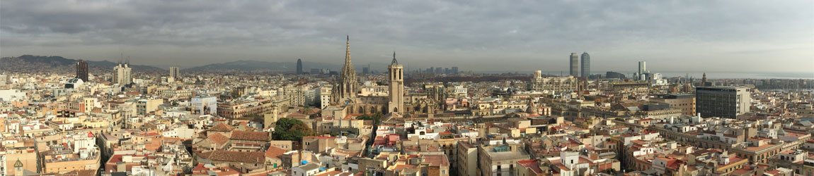 Private Tours Barcelona - Cathedral and Gothic Quarter Panoramic